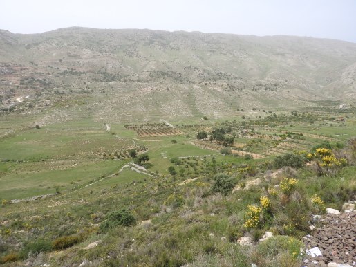 Farmland which owners in occupied Majdal Shams can not access